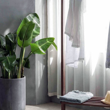 Aménager son entrée