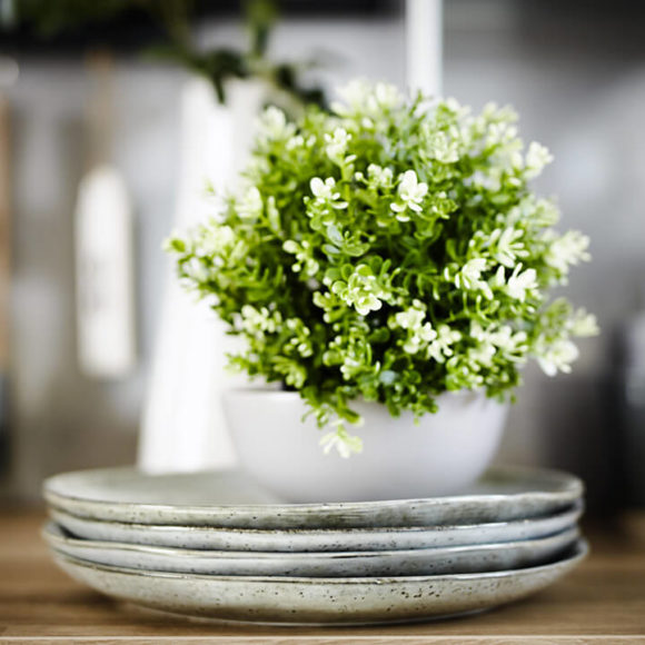 Cuisine-green Avoir une cuisine respectueuse de l’environnement